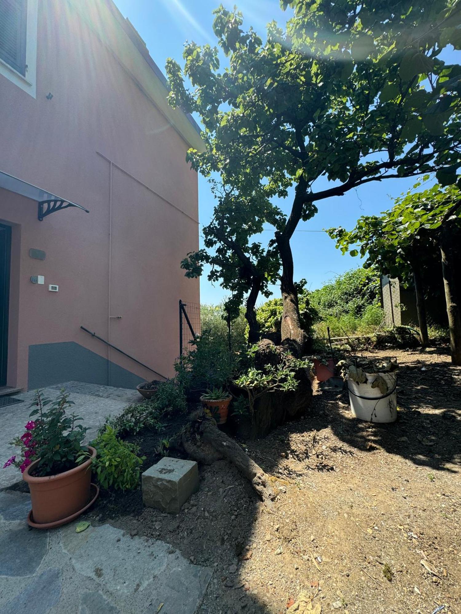 Ca' Dii Buersa - Homy 5 Terre Volastra Exterior foto
